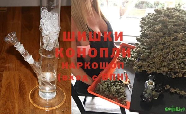 гидропоника Богданович